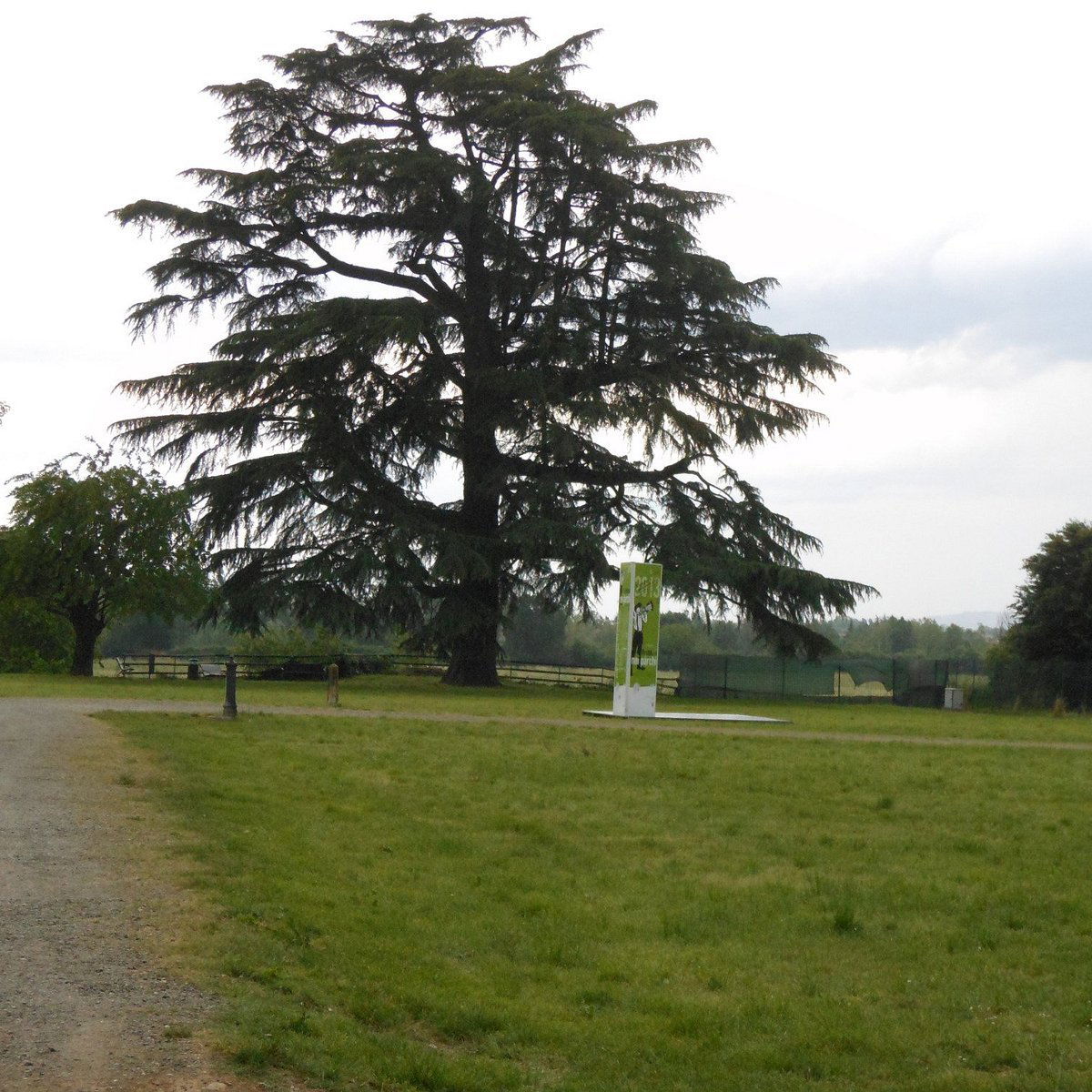 Albinea Canali, Winery in Reggio Emilia