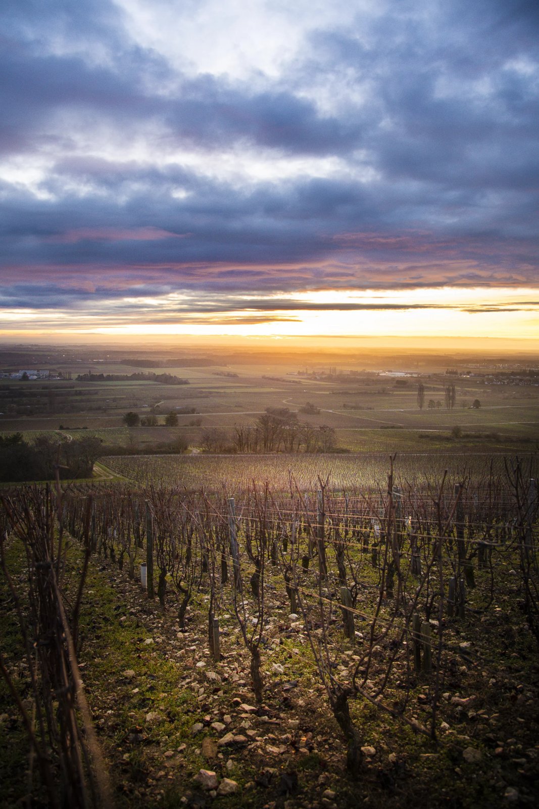 Domaine Jérôme Galeyrand