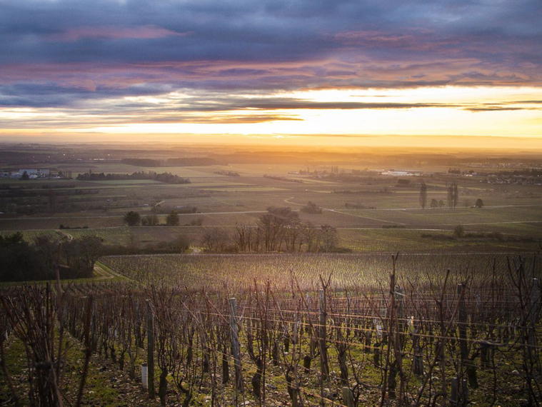 Domaine Jérôme Galeyrand, Gevrey-Chambertin, France