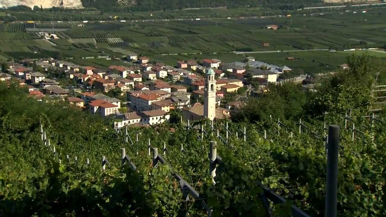 Cantina Aldeno winery in Aldeno