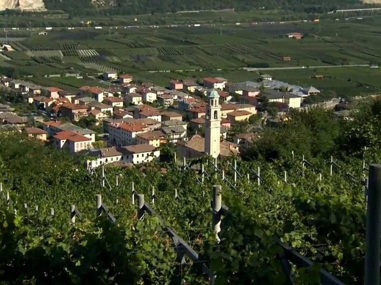 Cantina Aldeno, Aldeno, Italy