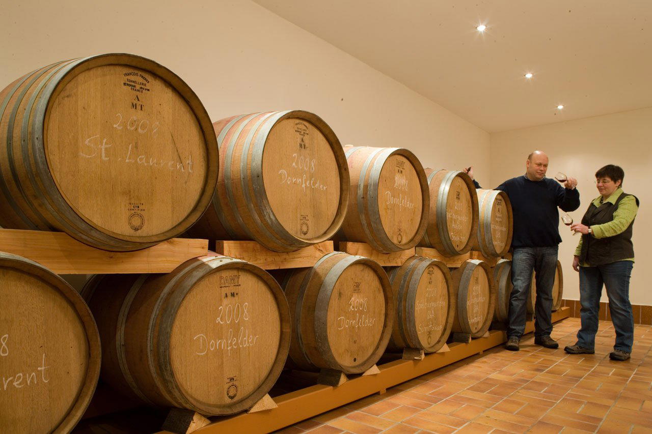 Weingut Berthold Schmitz winery in Nackenheim, Germany