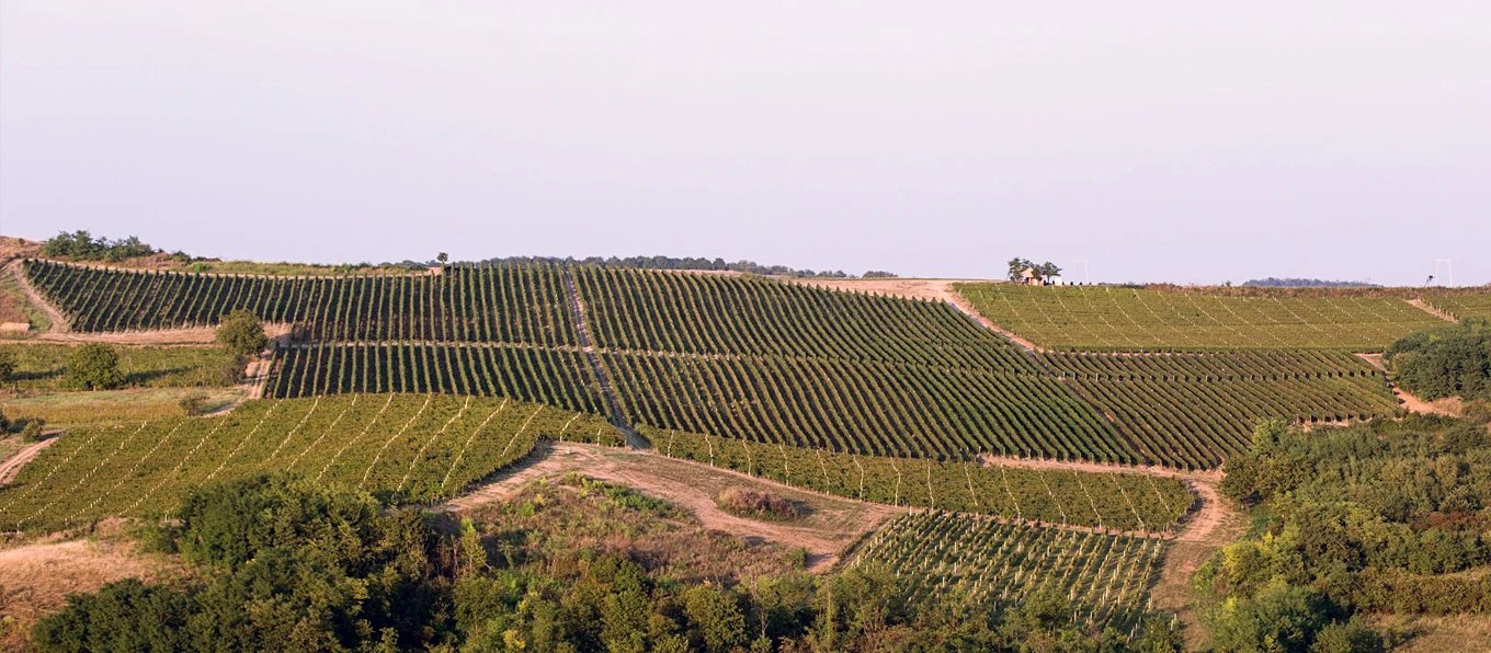 Bikicki, Banostor, Serbia
