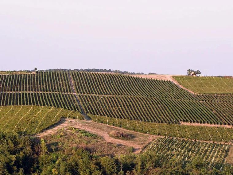 Bikicki, Banostor, Serbia