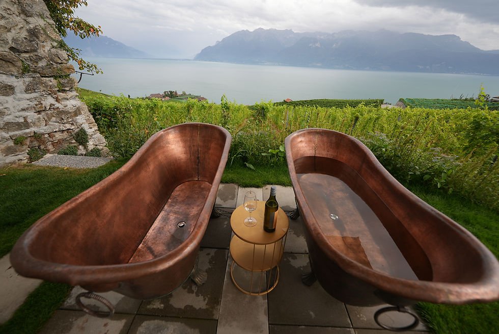 Blaise Duboux, Epesses, Switzerland