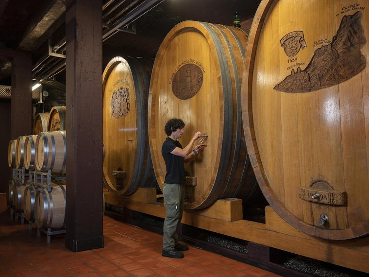 Cantina Giubiasco, Giubiasco, Switzerland