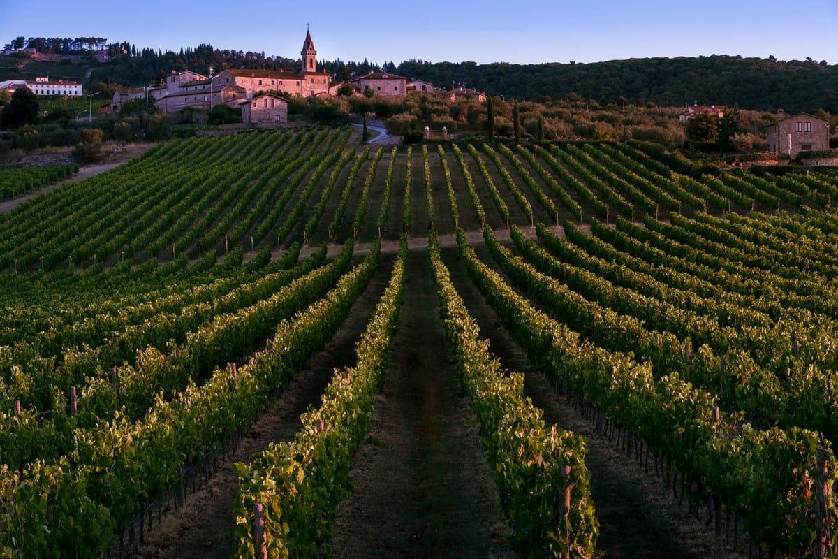 Arcanum winery in San Gusme