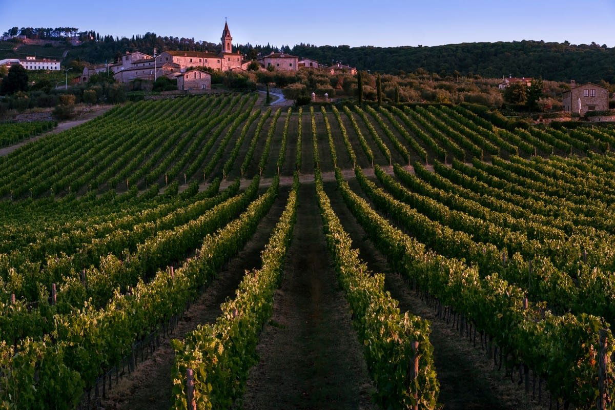 Arcanum, Winery in San Gusme