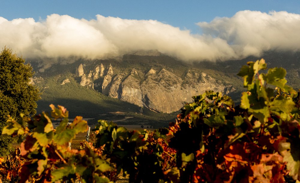 Bodegas Heredad de Baroja, Winery in Elvillar