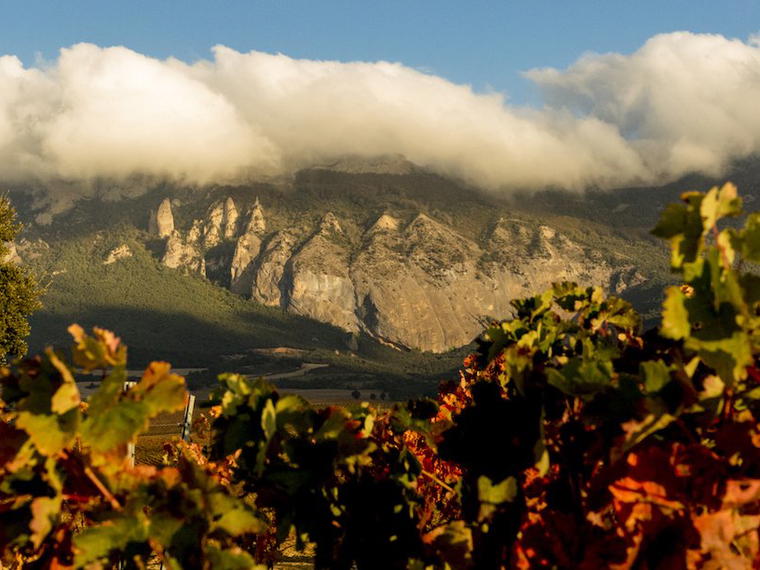 Bodegas Heredad de Baroja, Elvillar, Spain