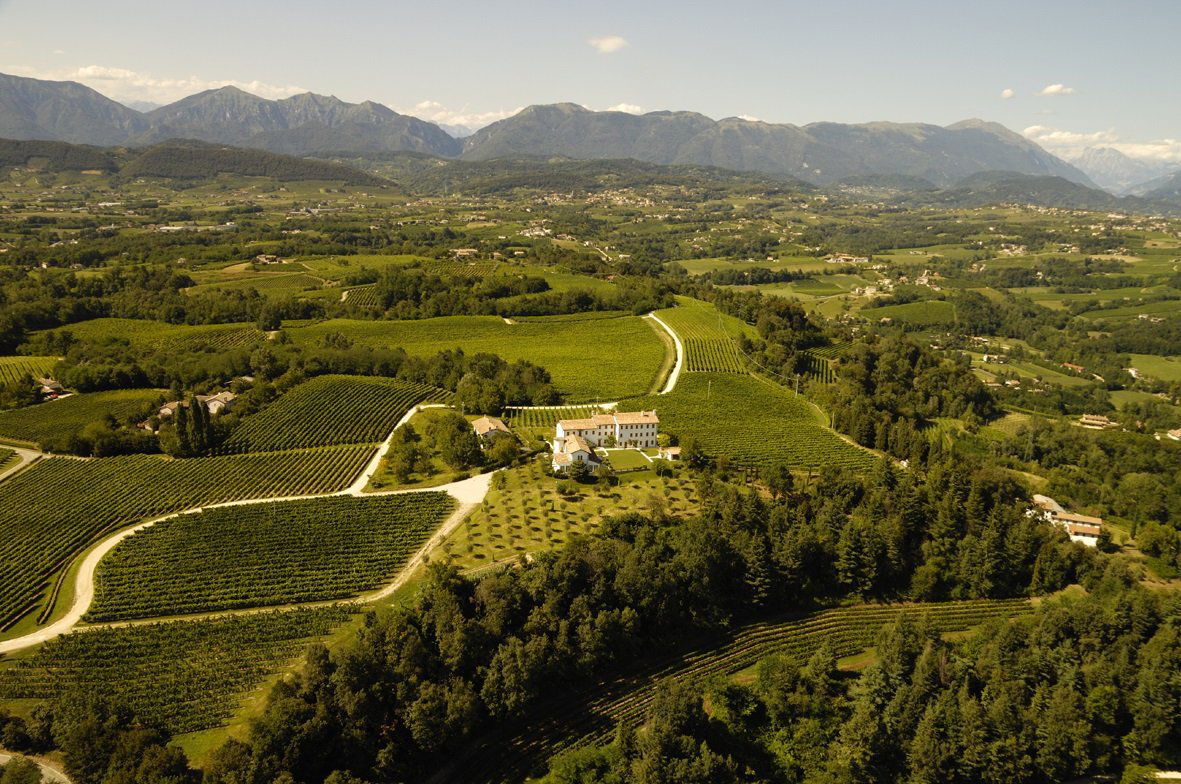 Col Sandago, Winery in Susegana