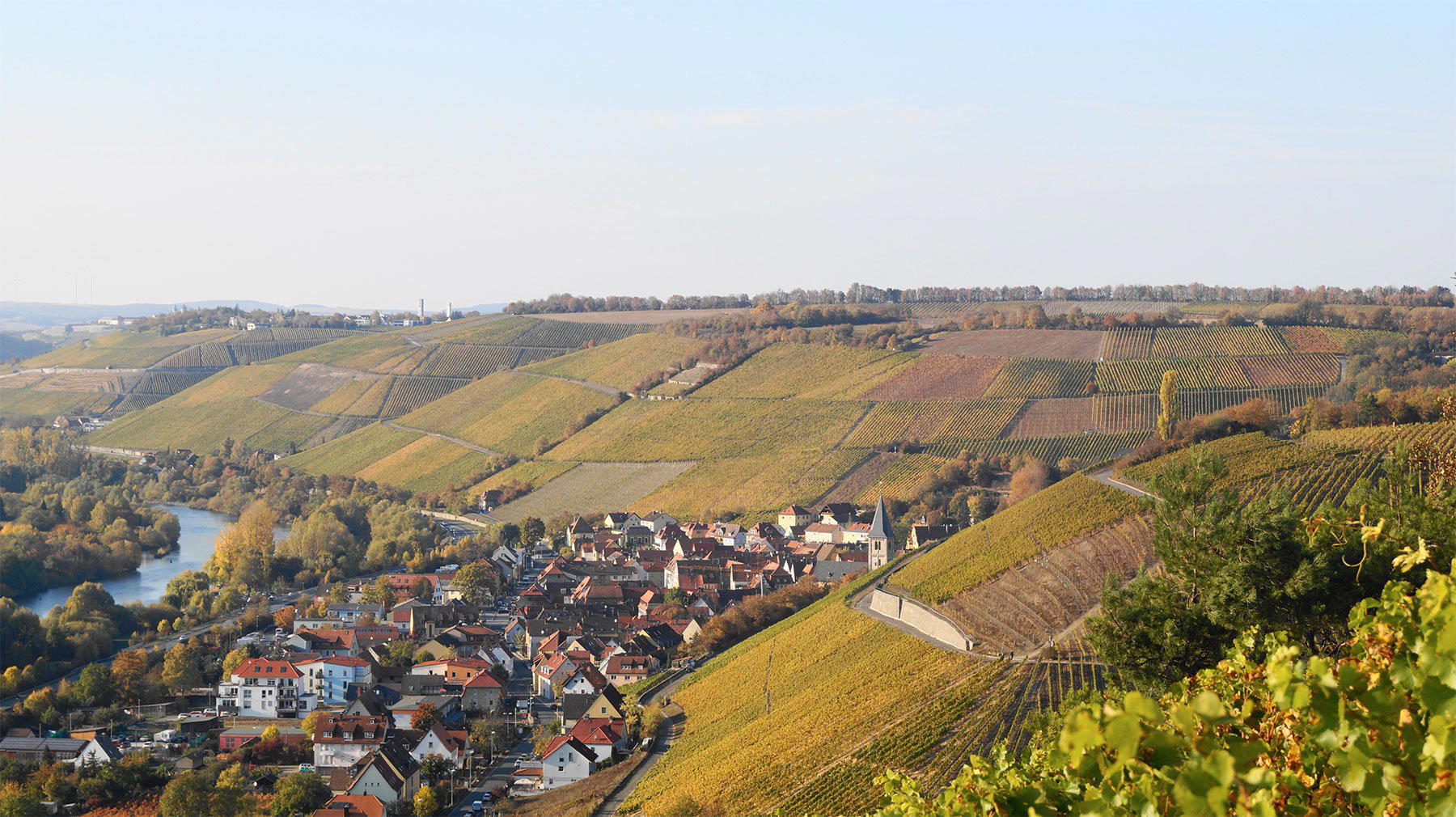 Weingut Reiss winery in Würzburg