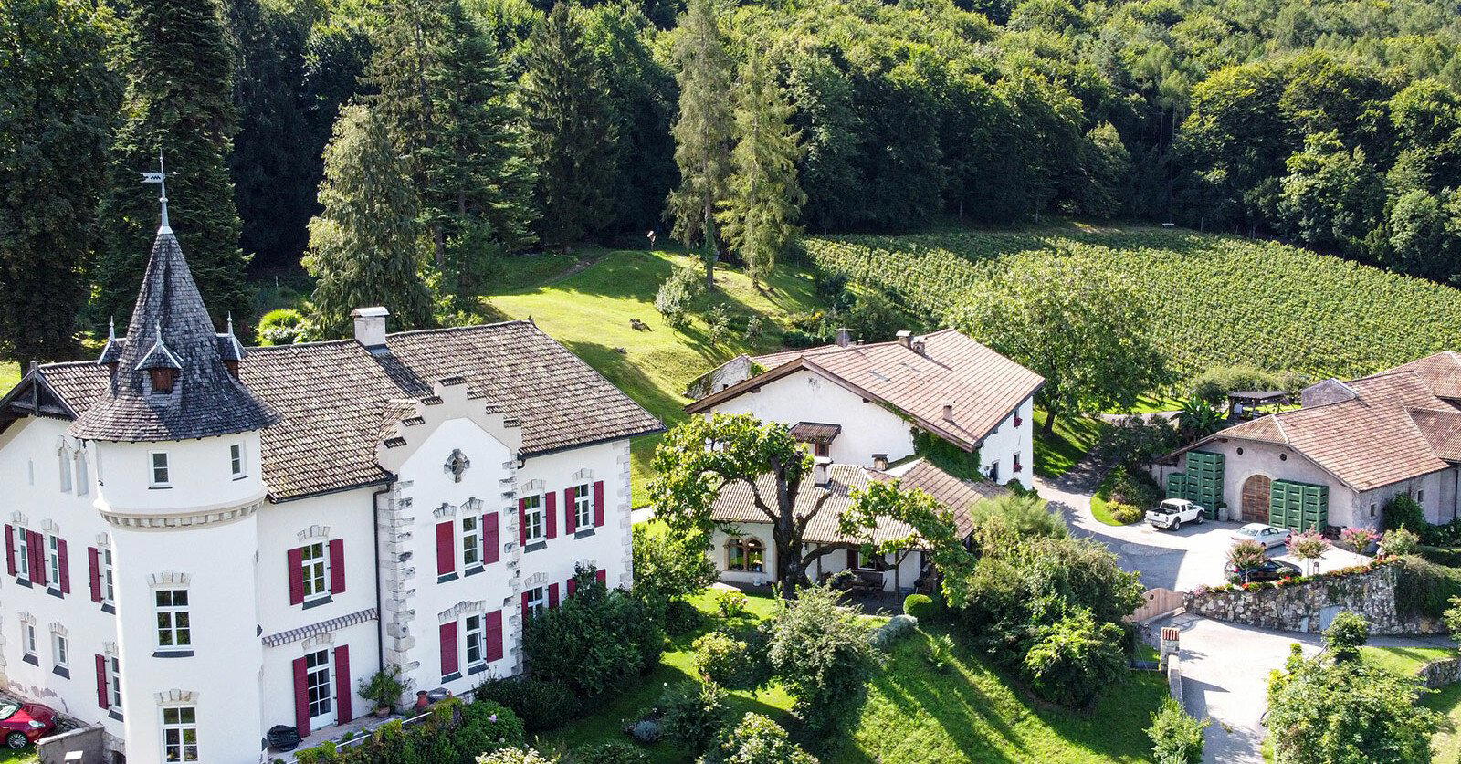 Weingut Gottardi winery in Neumarkt