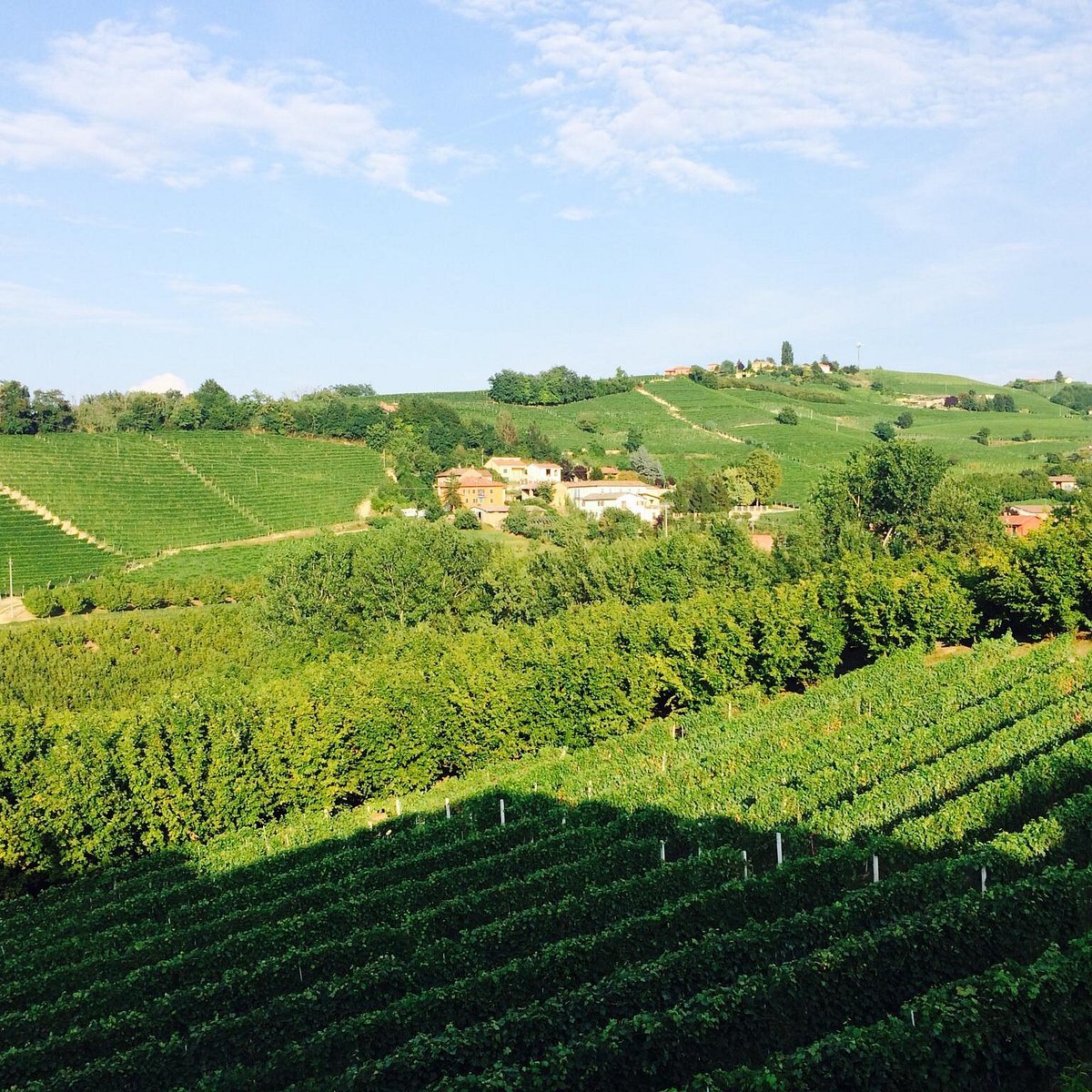 Azienda Agricola F.lli Cigliuti
