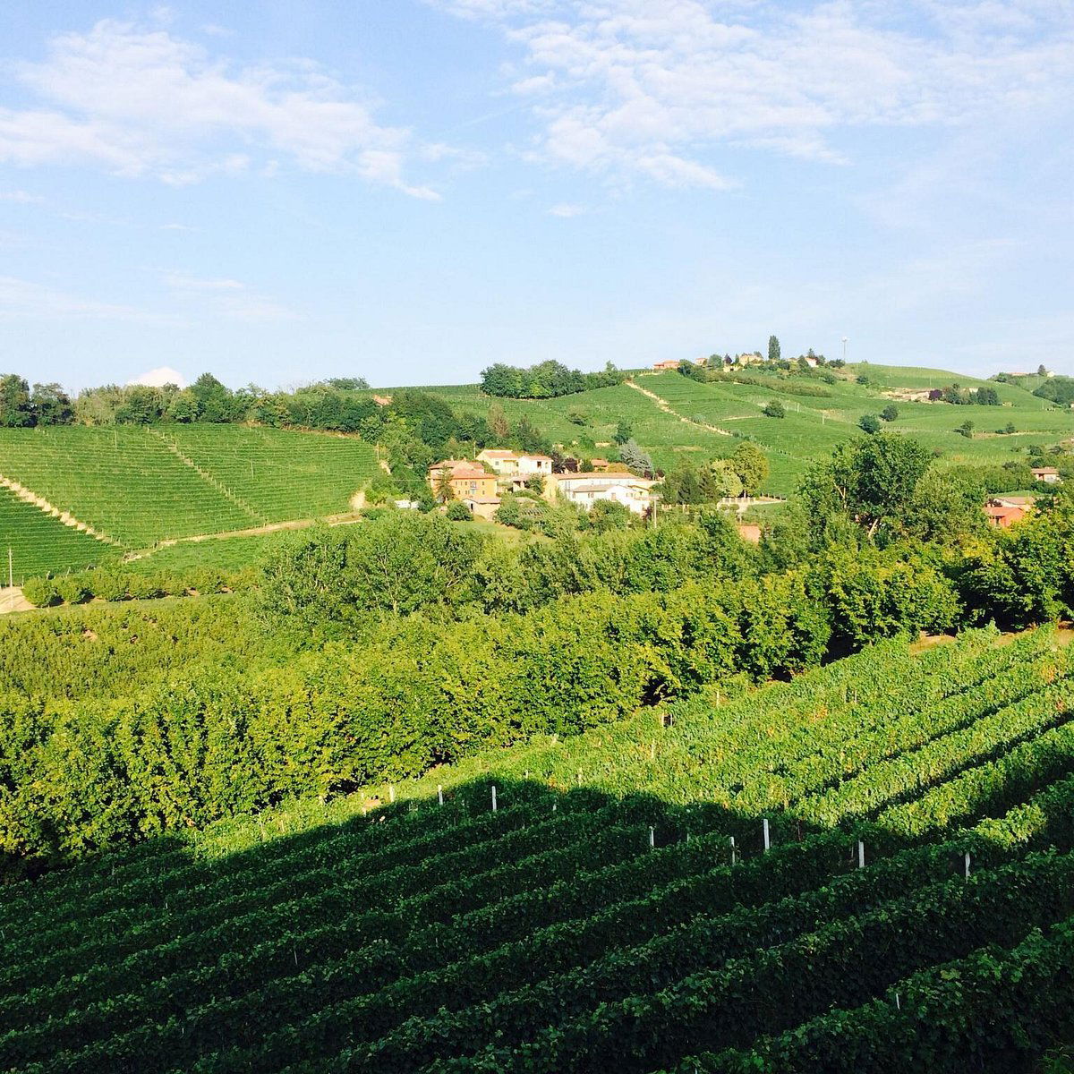 Azienda Agricola F.lli Cigliuti, Winery in Neive
