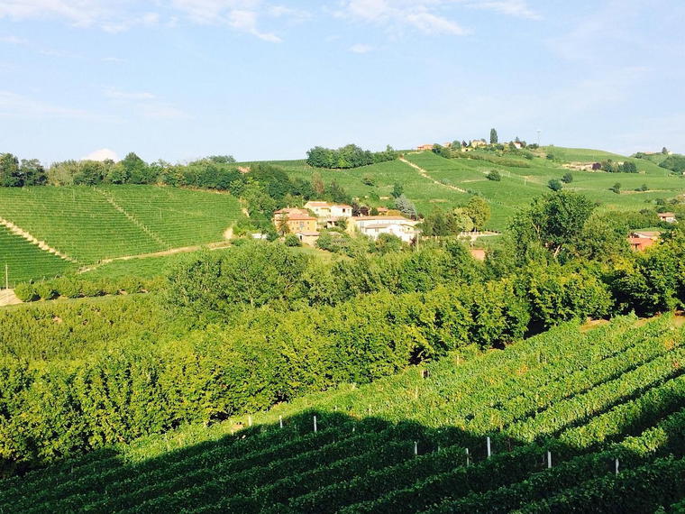 Azienda Agricola F.lli Cigliuti, Neive, Italy