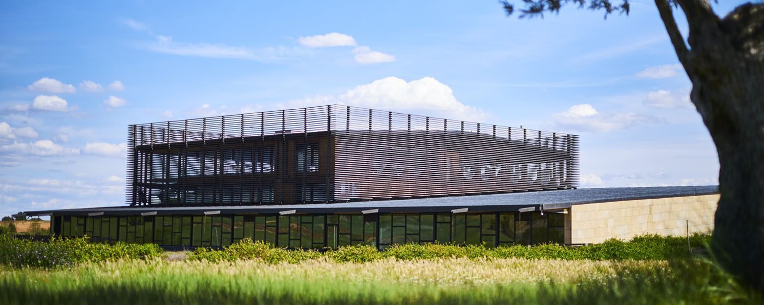Bodega Bela, Winery in Burgos