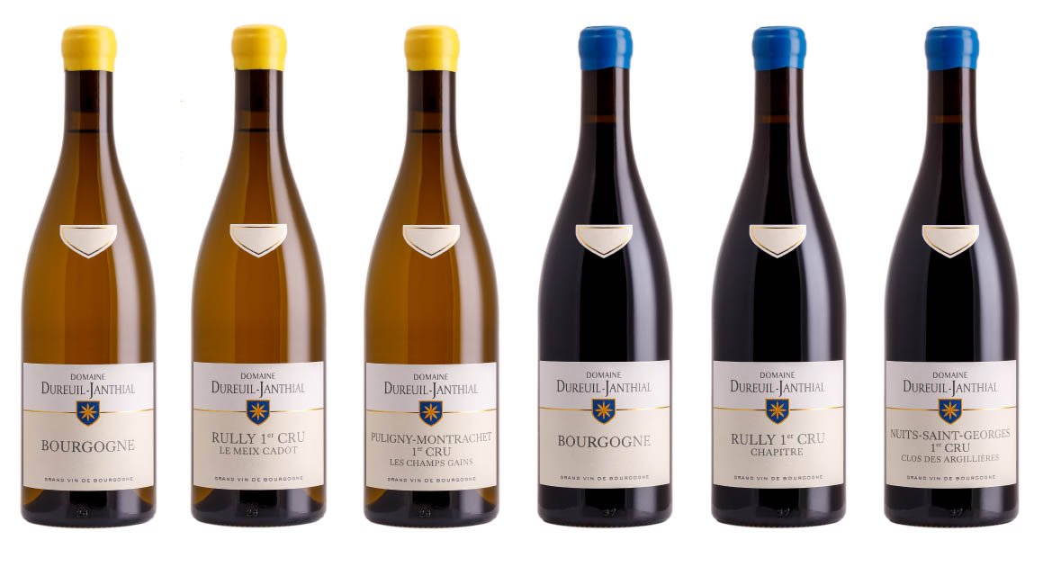 Domaine Dureuil-Janthial