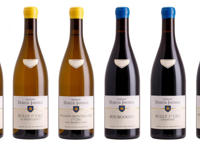 Domaine Dureuil-Janthial, Rully, France