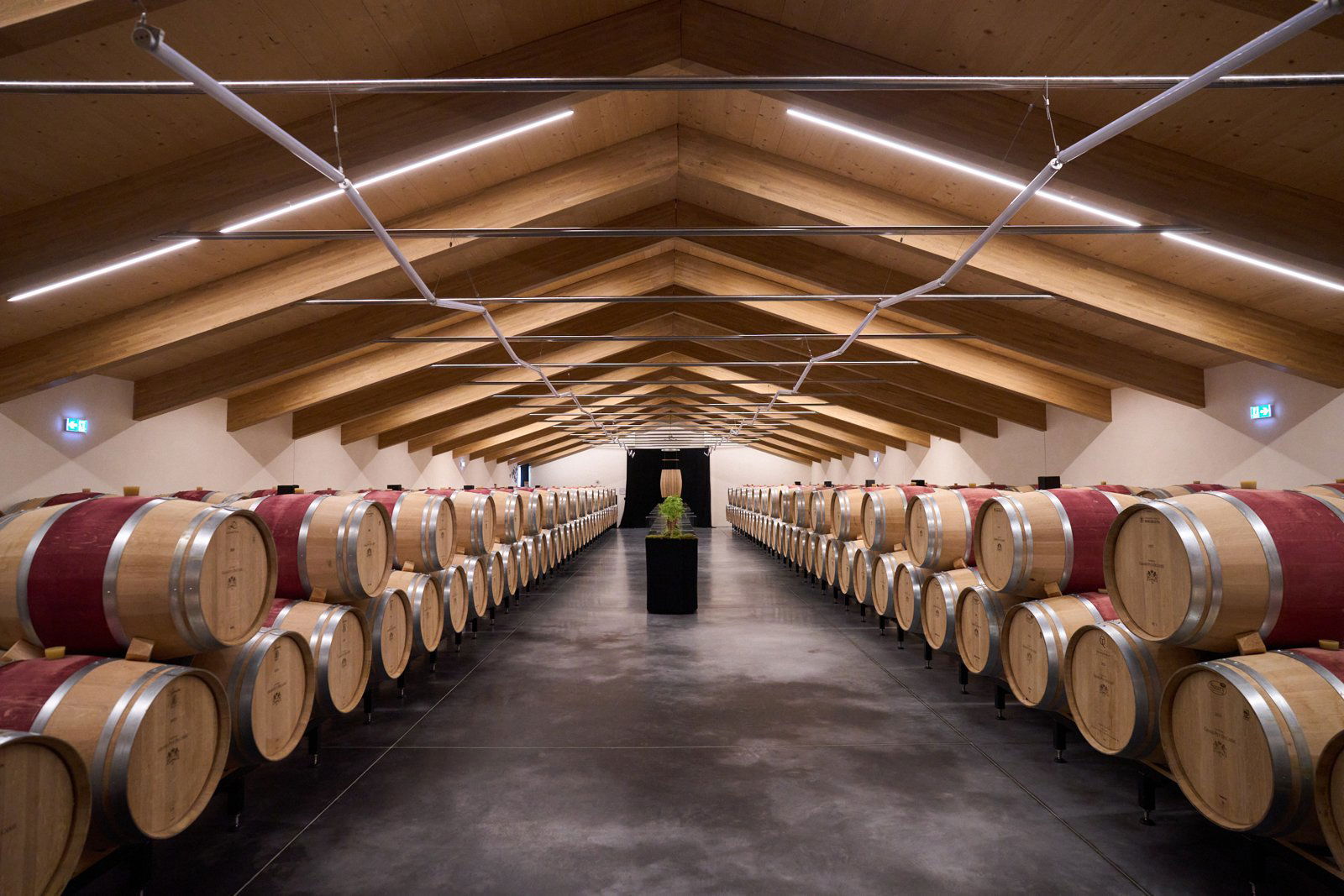 Château Grand-Puy-Ducasse, Winery in Pauillac
