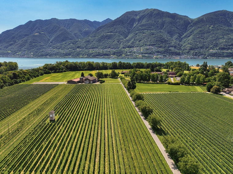 Cantina alla Maggia, Ascona, Switzerland