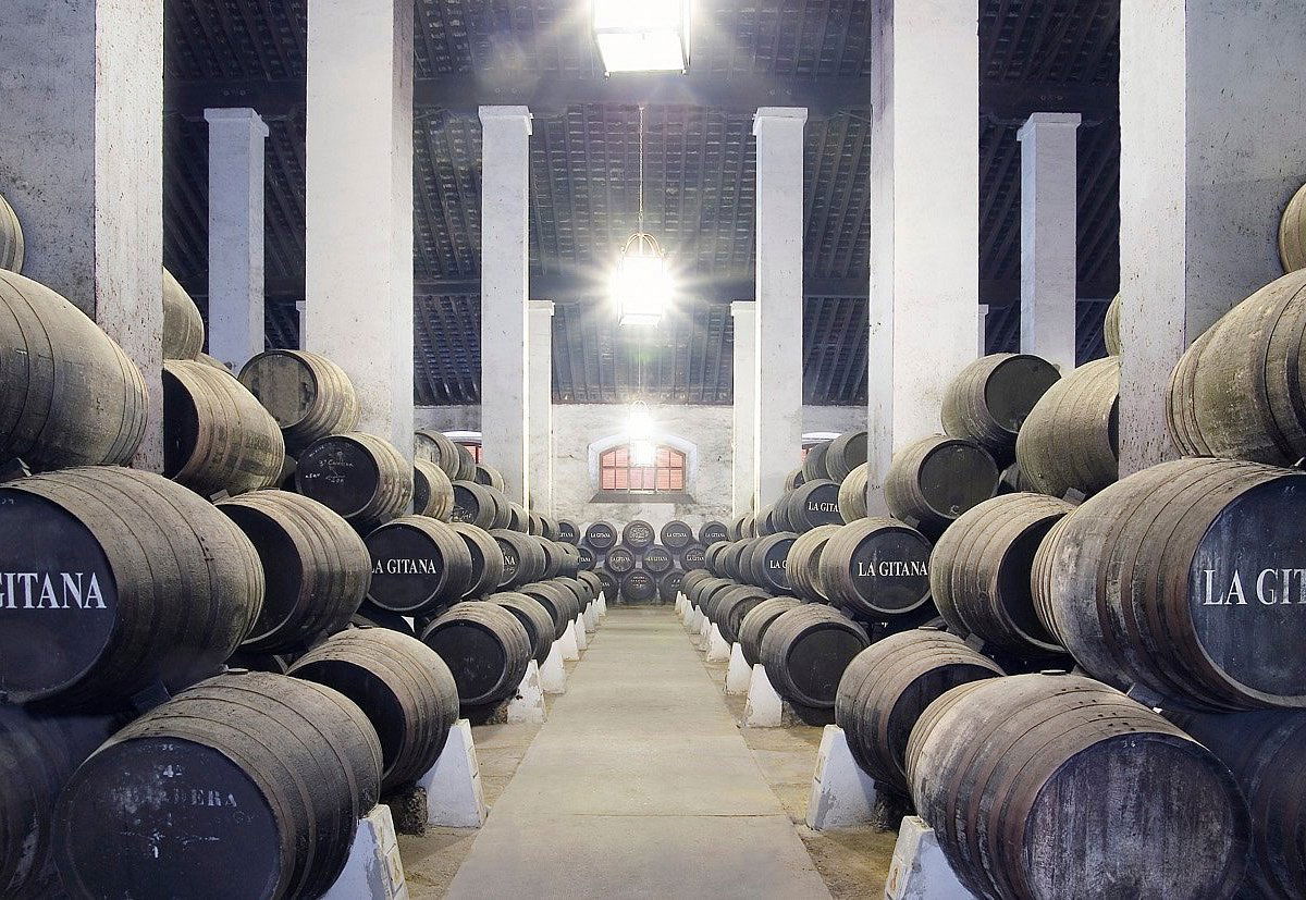 Bodegas Alonso, Winery in Sanlúcar de Barrameda