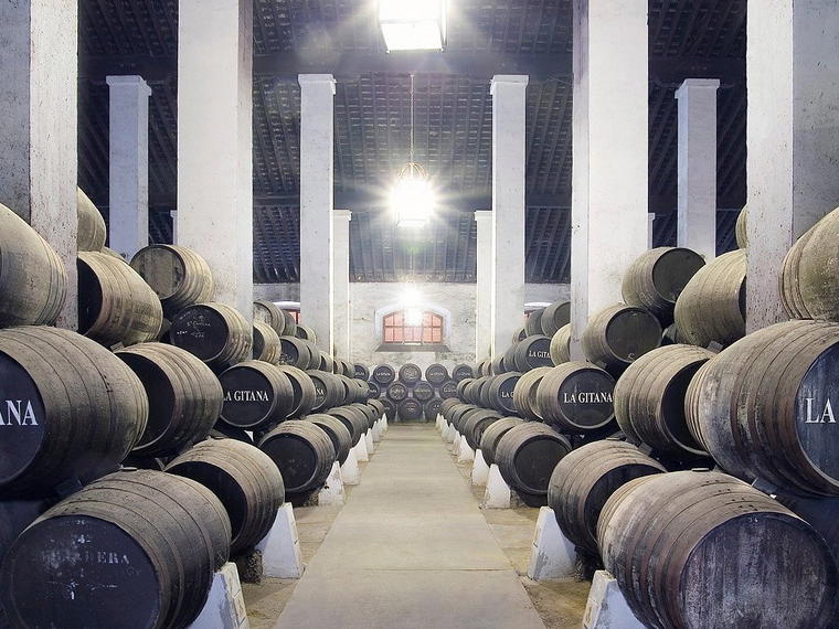 Bodegas Alonso, Sanlúcar de Barrameda, Spain