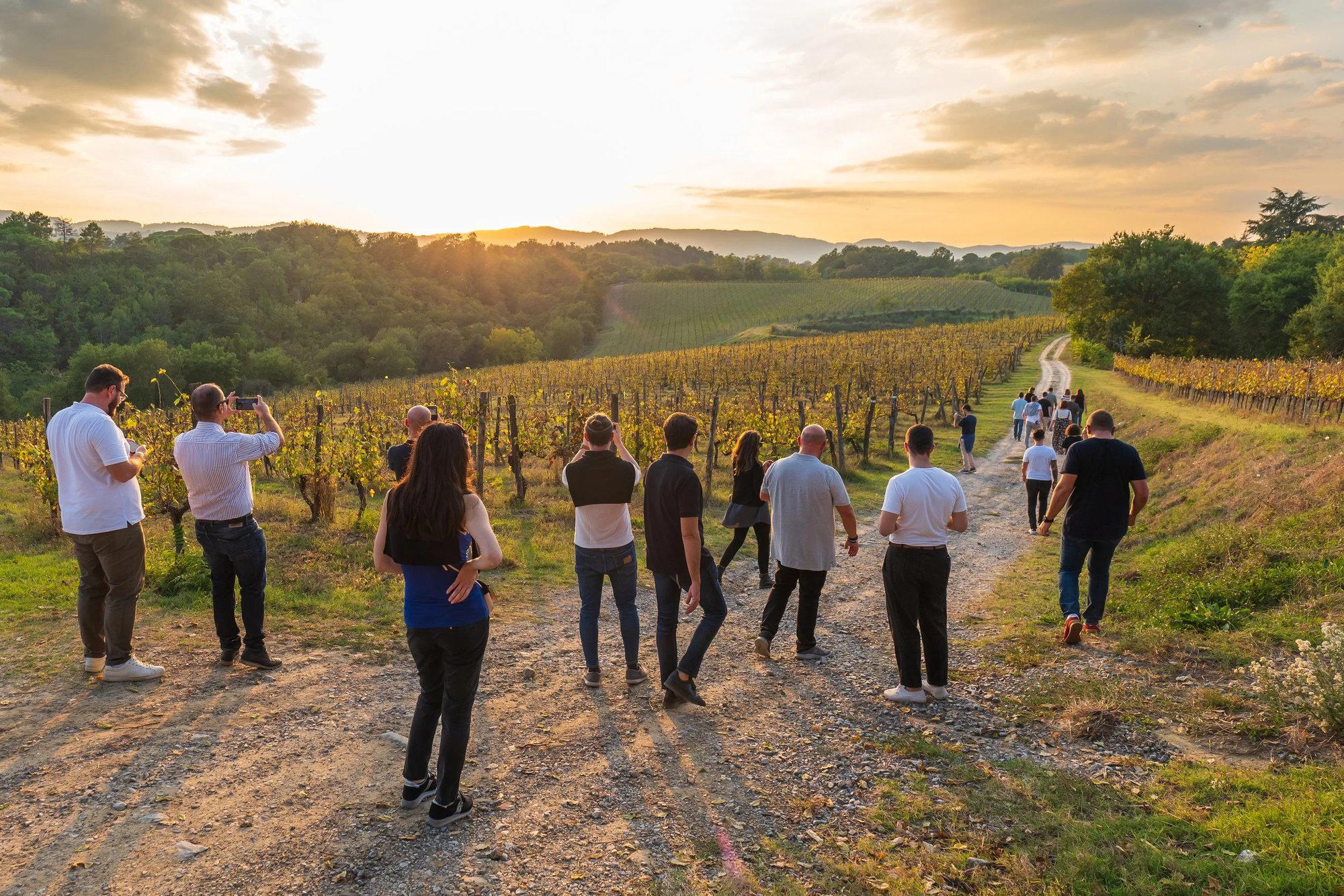 Tenuta Scrafana winery in Montevarchi
