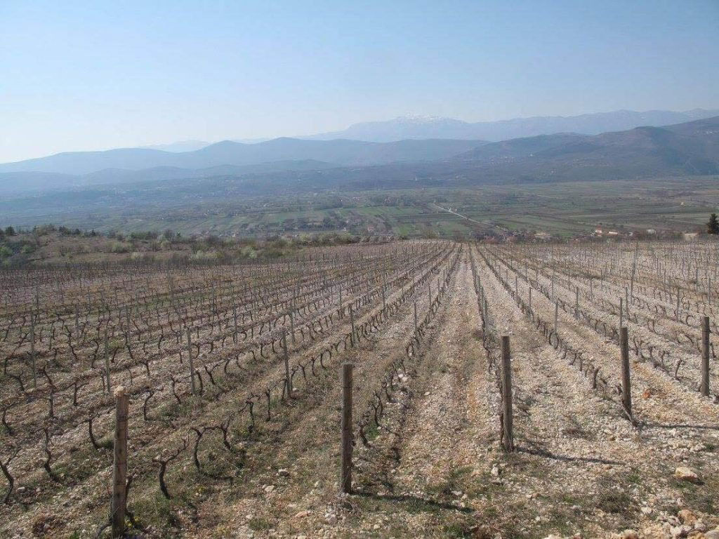 Bodren, Winery in Hum Na Sutli
