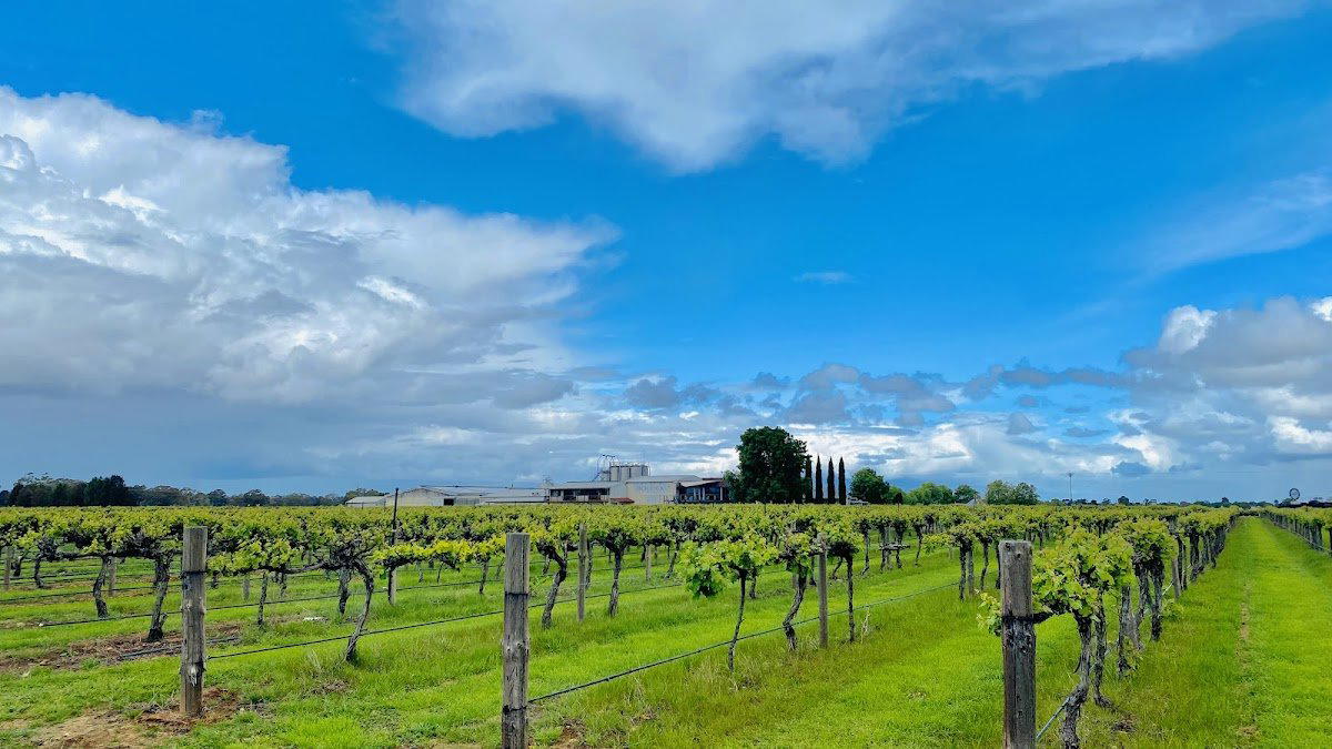 Hollick Estates winery in Penola