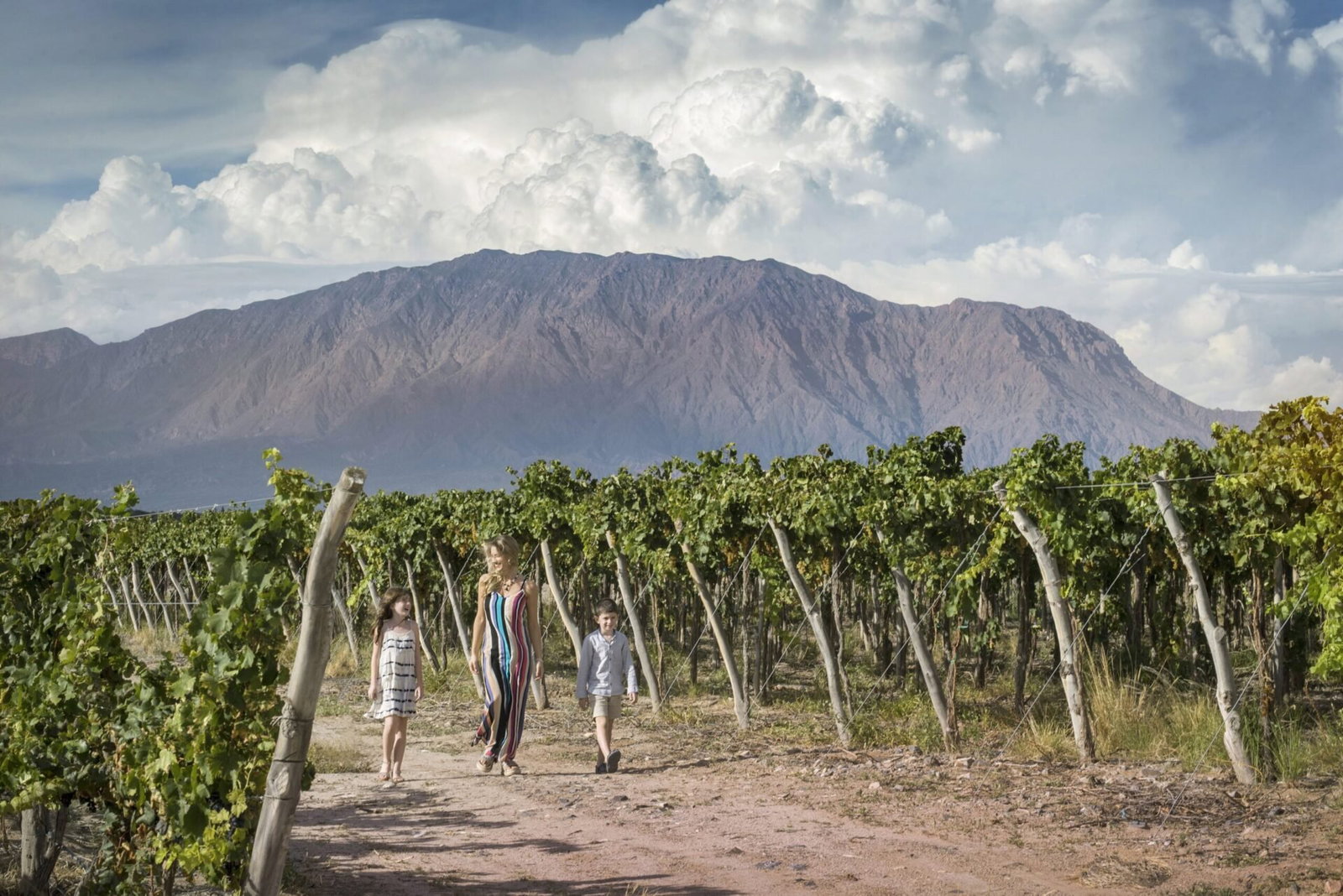 Bodega El Tránsito, Cafayate, Argentina