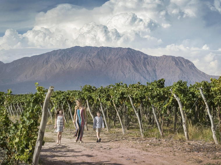 Bodega El Tránsito, Cafayate, Argentina