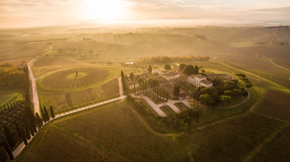 Avignonesi, Winery in Montepulciano