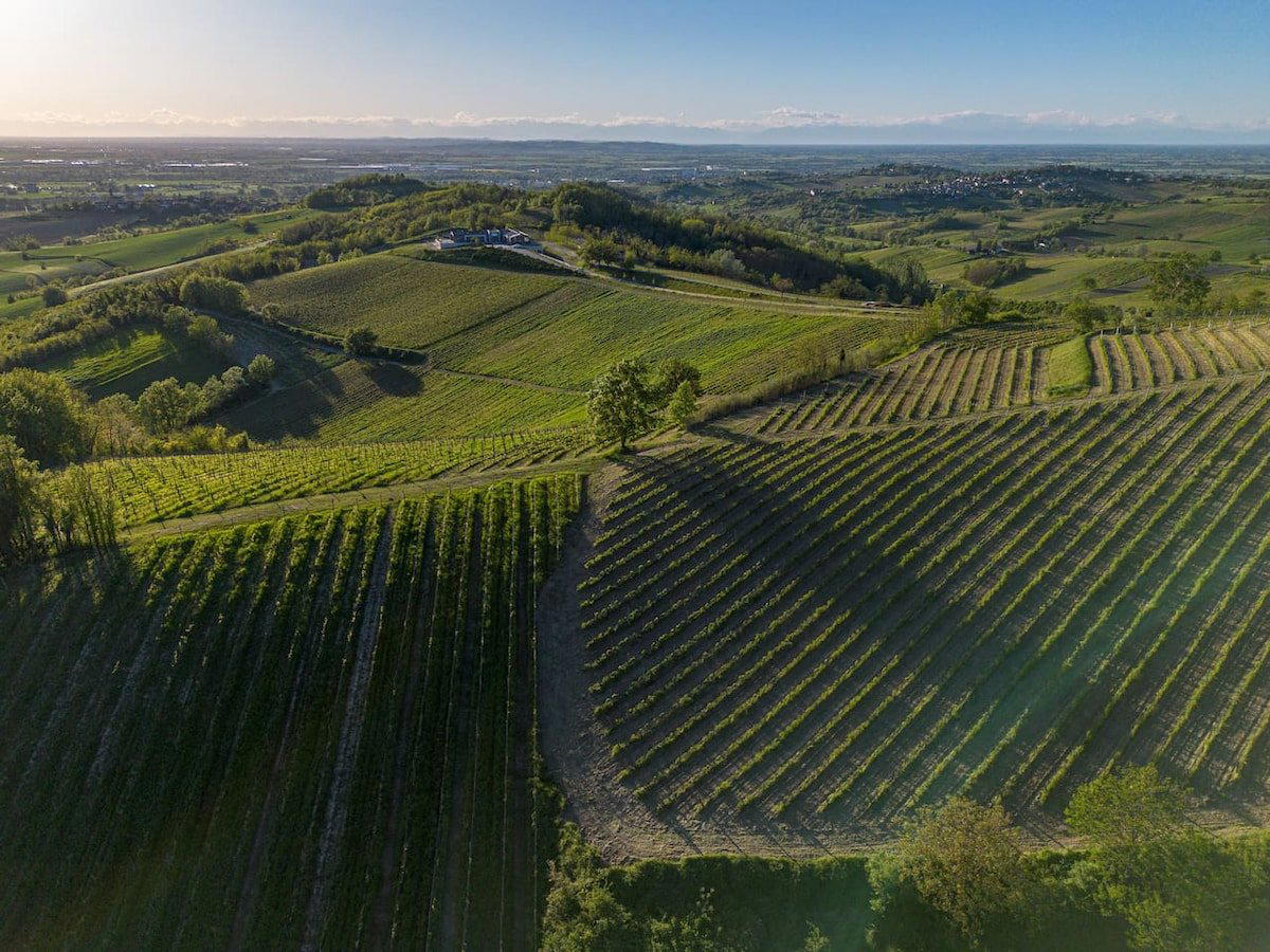 Vigneti Repetto winery in Sarezzano, Italy