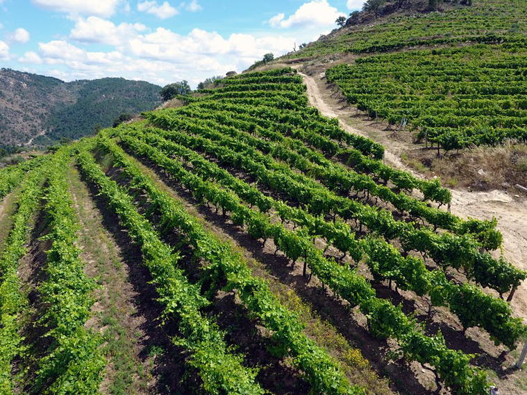 Cortes do Tua, Carrazeda De Ansiaes, Portugal