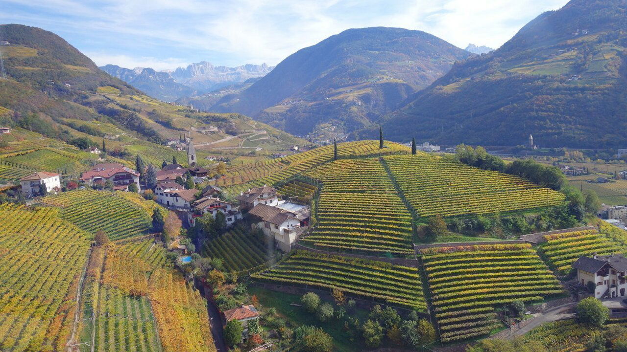 Cantine di Ora, Winery in Auer