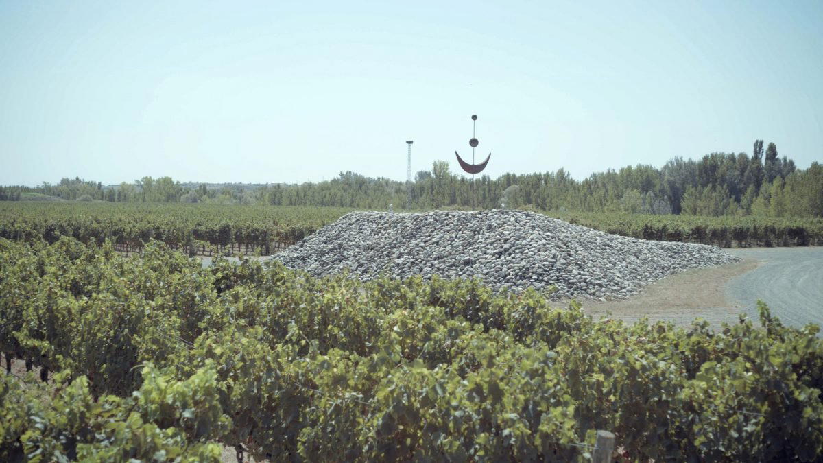 Lagravera winery in Alfarras Lleida