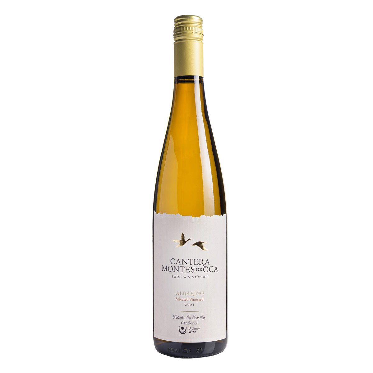 Cantera Montes de Oca winery in Montevideo
