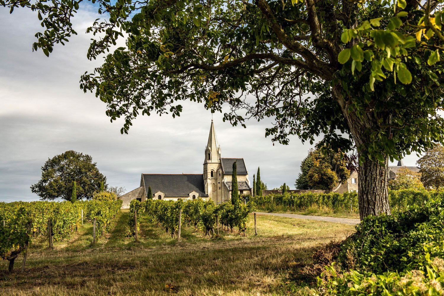 Chapin & Landais, Winery in Saumur