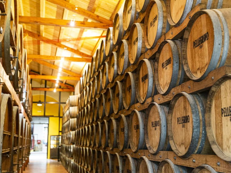 Cantine Bianchi, Sizzano, Italy