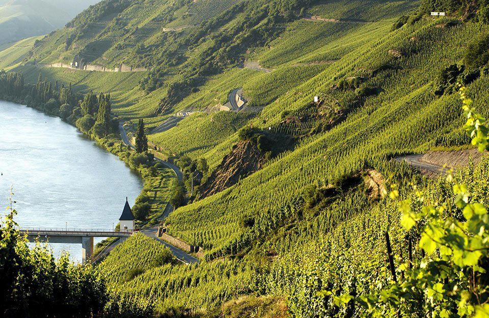 Weingut Heinz Schmitt Erben winery in Leiwen