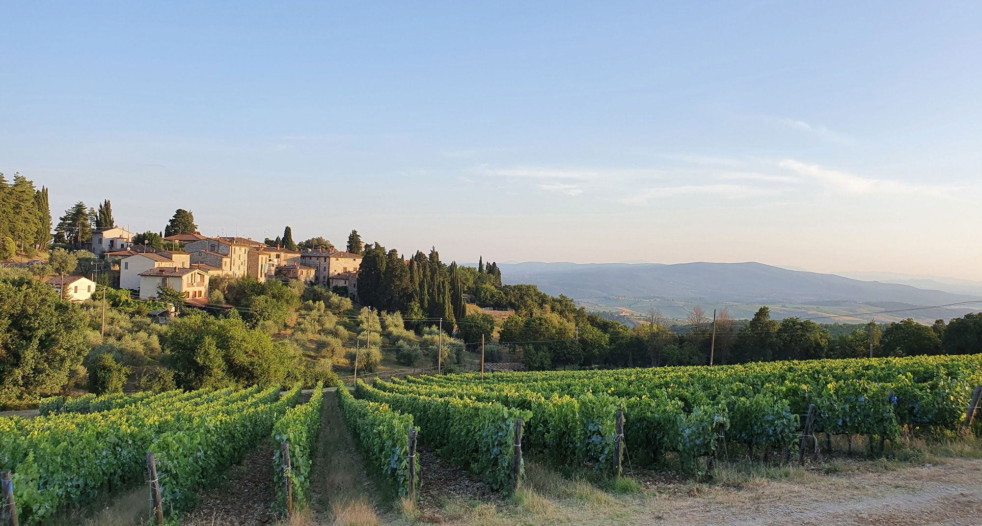 Castello di Fonterutoli, Winery in Castellina in Chianti