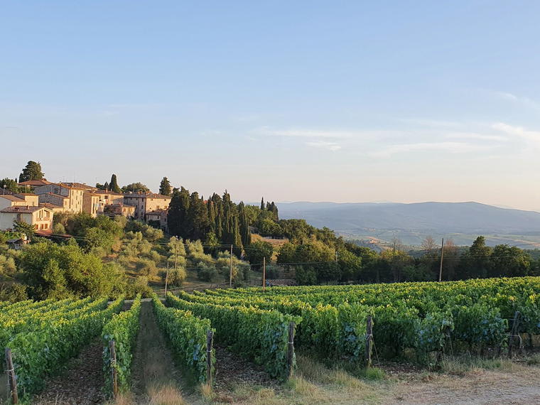 Castello di Fonterutoli, Castellina in Chianti, Italy
