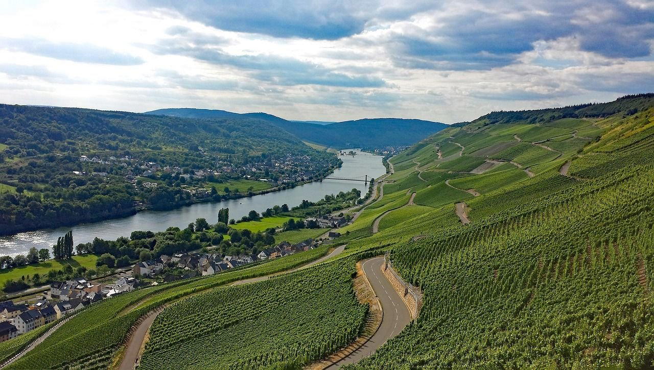Bioweingut Hubertushof winery in Lieser, Germany