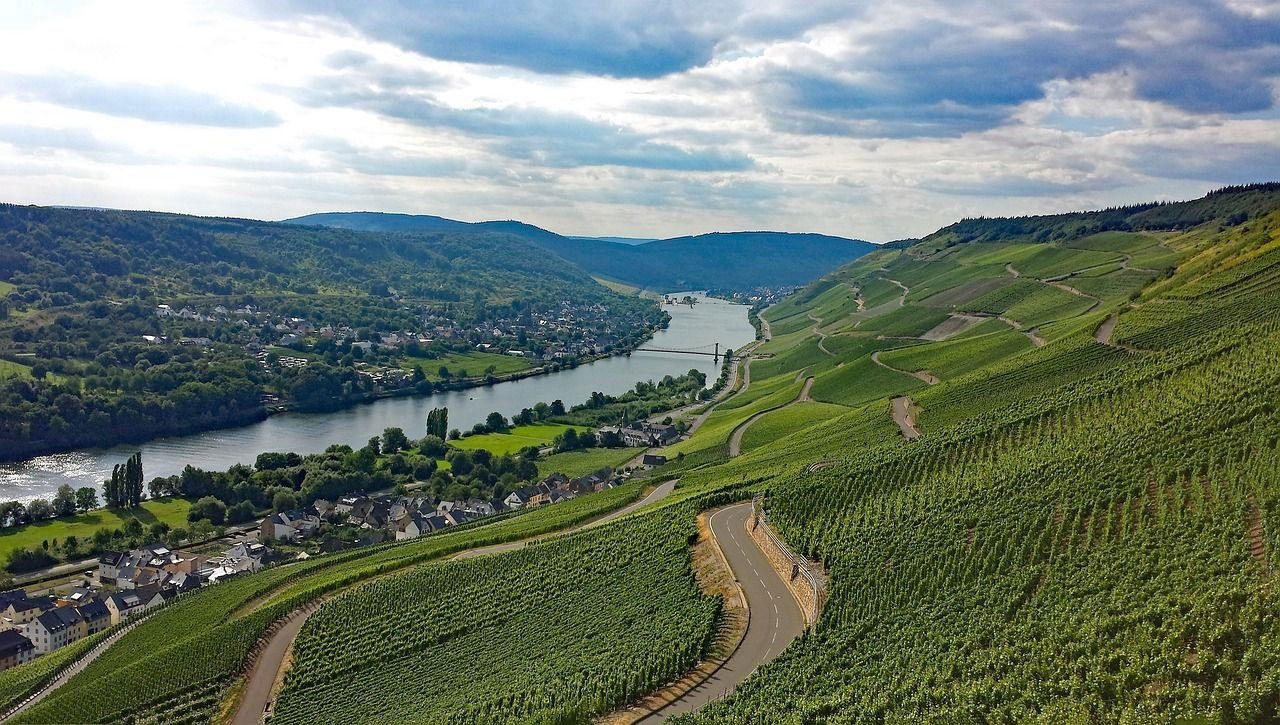 Bioweingut Hubertushof, Winery in Lieser