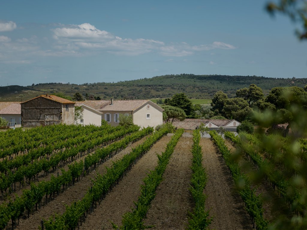 Château D’Aussieres – Domaines Barons de Rothschild