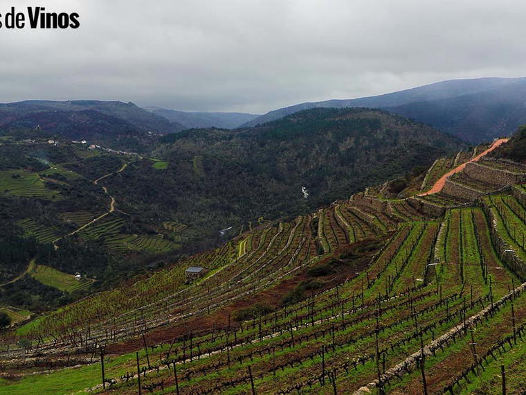 Bodegas Naia S. L., La Seca, Spain