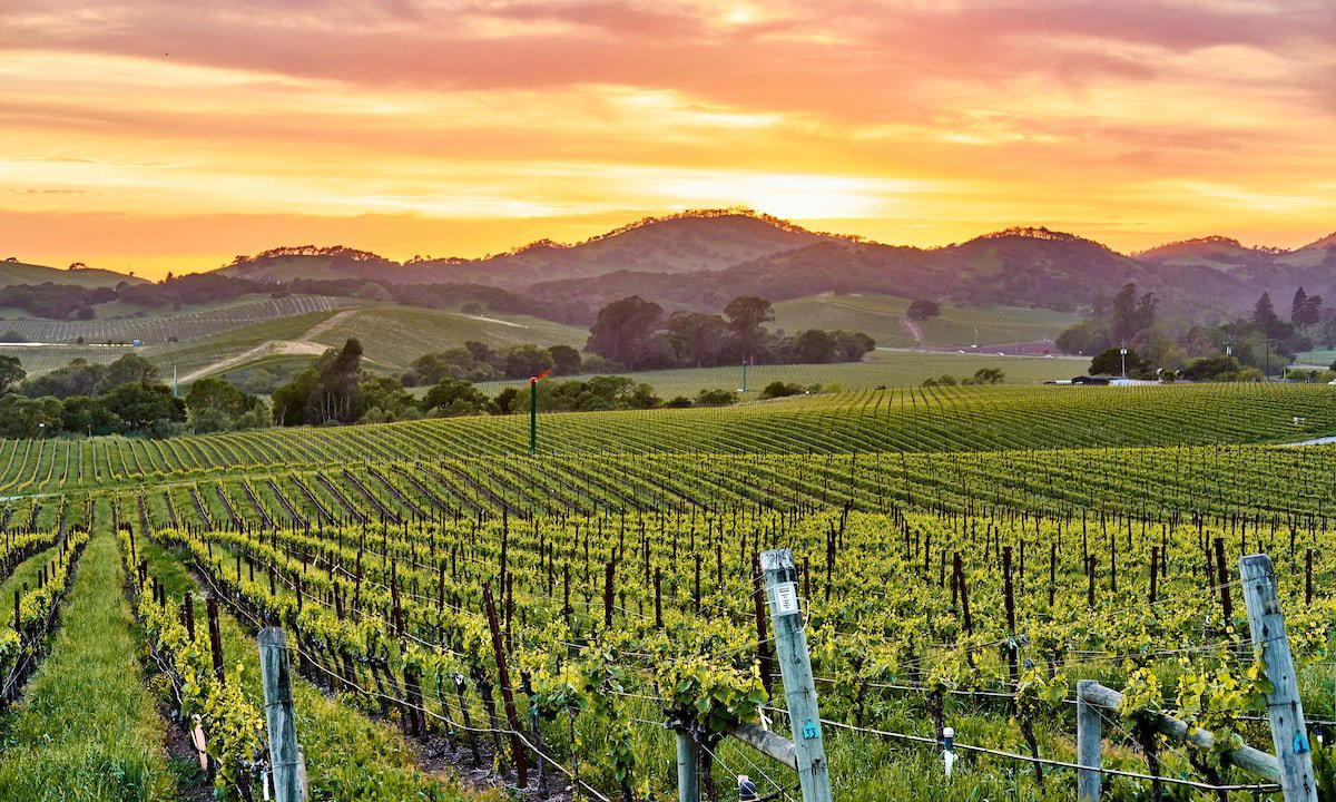 La Sirena winery in St. Helena, United States
