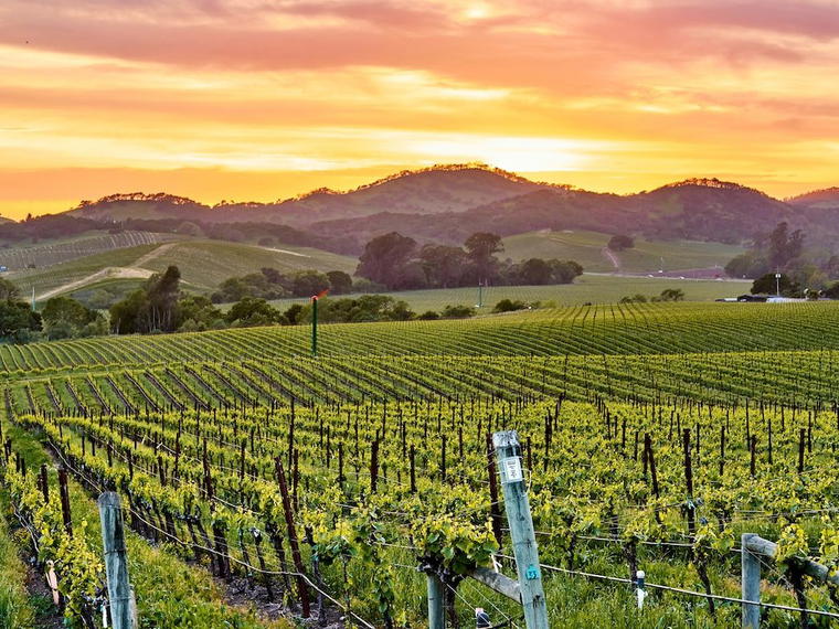 La Sirena, St. Helena, United States