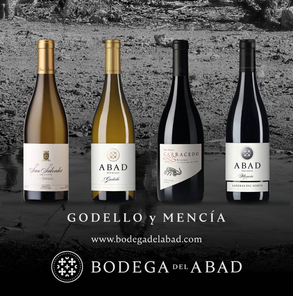 Bodega del Abad, Winery in Carracedelo El Bierzo
